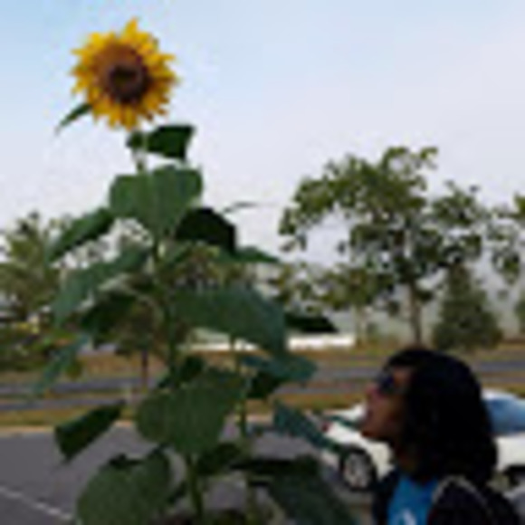 Meet your Posher, Lita - Picture 1 of 1